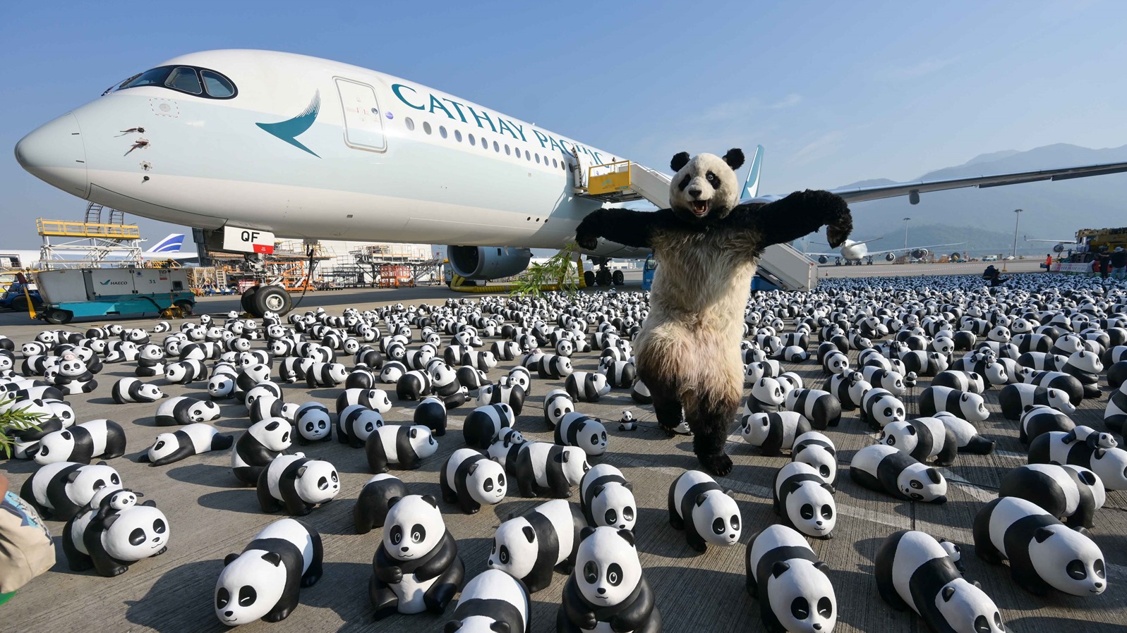PANDA GO! 香港游 (2024)