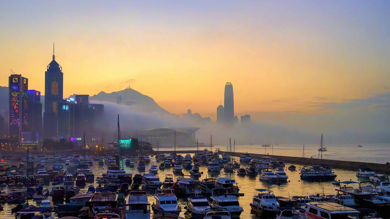 迷雾中的维多利亚港 (2024)