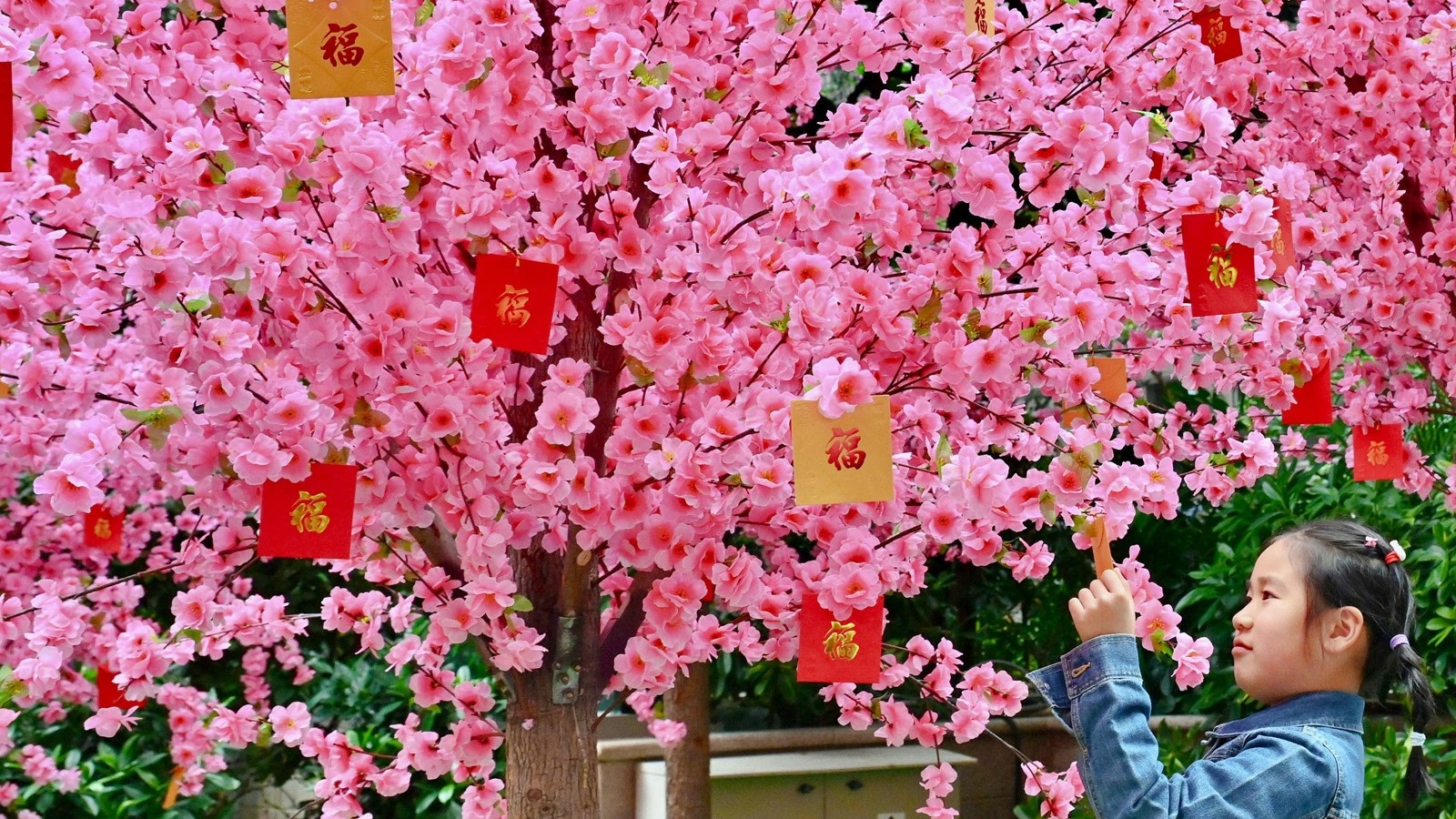 喜迎蛇年 (2025)