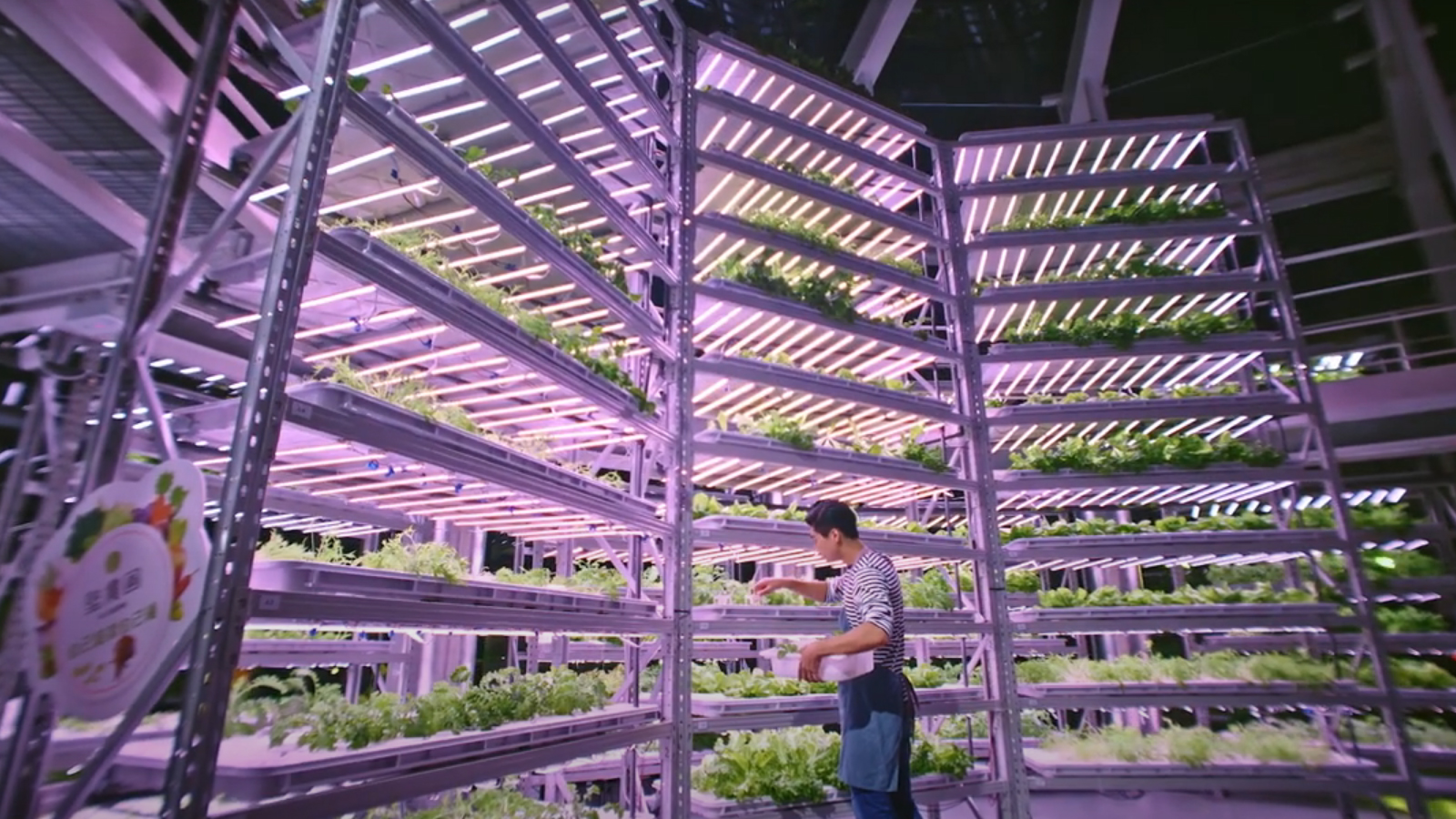 Where to find a World of Green Business Opportunities
