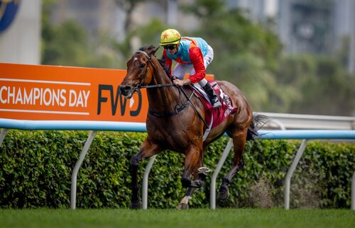 A great day at the races! Hailed as one of the greatest race meetings ever in Hong Kong, the Champions Day at Sha Tin Racecourse delivered an electrifying spectacle (Apr 26), with over 40,000 spectators witnessing world-class racing at its finest. Featuring three prestigious https://t.co/tYplqM9B3g