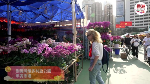 🐎馬年將至（2月17日），一起看看香港如何以繽紛節慶佈置與傳統習俗迎新歲，祝願來年喜樂安康。🧧花墟、綵燈會🏮、維多利亞公園的年宵市場和各種賀歲習俗，充分展現出城市濃厚的節日氣氛。🌟  #香港 #香港品牌 #亞洲國際都會 #節慶 #馬年 #農曆新年