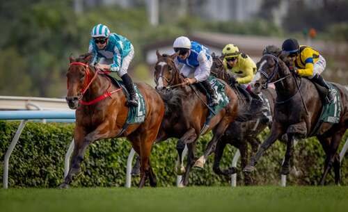 沙田馬場於4月26日舉行冠軍賽馬日，吸引逾4萬名觀眾入場，見證精采絕倫的世界級賽馬盛事。🏇🎉三場重量級一級賽匯聚頂尖賽駒與騎師，爭奪最高榮譽。本地賽駒「嘉應高昇」、「祝願」及「浪漫勇士」強勢橫掃當日三場賽事奪冠，為香港賽馬實現標誌性成就，堪稱歷來最出色的賽日之一。🌟賽場以外同樣精彩紛呈，提供音樂表演、娛樂及美食，讓市民與旅客盡情投入賽日氣氛。   相片：香港賽馬會 HKJC HKJC Racing  #香港 #香港品牌 #亞洲國際都會 #盛事之都 #盛事香港 #活力澎湃 #香港賽馬會 #冠軍賽馬日